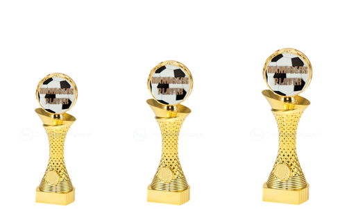 Managers Player Trofee - Voetbal - ST.067 - Goud