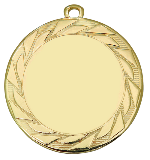 Extra Dikke Medaille Doetinchem - 70 mm - DI7008 - Goud, Zilver en Brons
