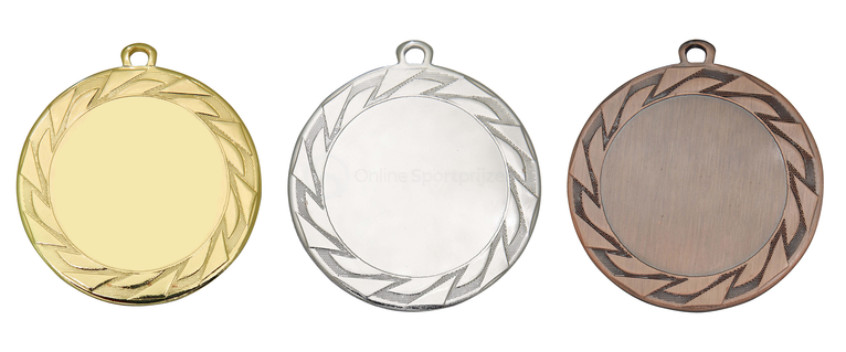 Extra Dikke Medaille Doetinchem - 70 mm - DI7008 - Goud, Zilver en Brons