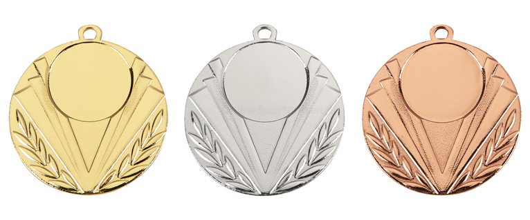 Medaille Dordrecht - 50 mm - BS.ME66 - Goud, Zilver en Brons