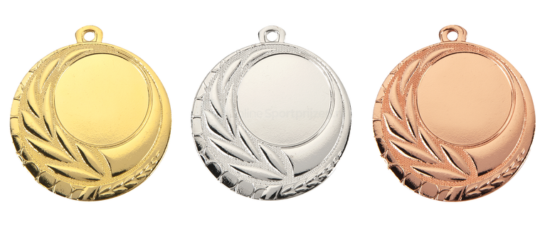 Medaille Geleen - 45 mm - D110 - Goud, Zilver en Brons