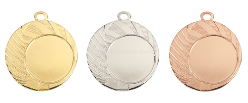 Medaille Leeuwarden - 40 mm - ME.077 - Goud, Zilver en Brons