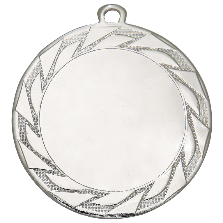 Extra Dikke Medaille Doetinchem - 70 mm - DI7008 - Goud, Zilver en Brons