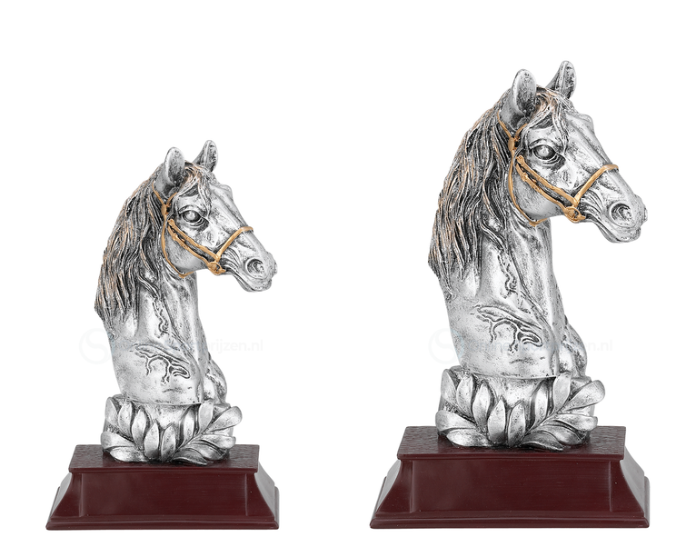 Paardensport Prijs - FG350-FG351 - Antiek Zilver