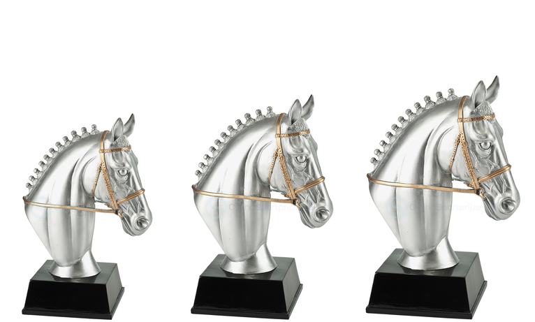 Paardensport Prijs - RE.120 - Antiek Zilver met Kleuraccent