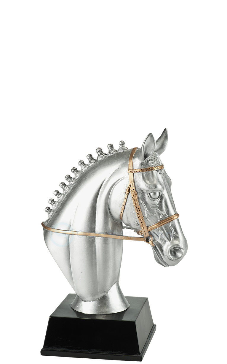Paardensport Prijs - RE.120 - Antiek Zilver met Kleuraccent