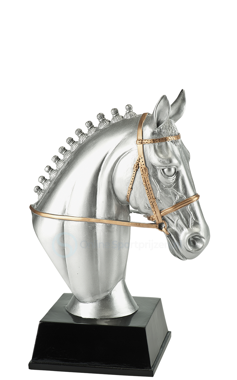 Paardensport Prijs - RE.120 - Antiek Zilver met Kleuraccent