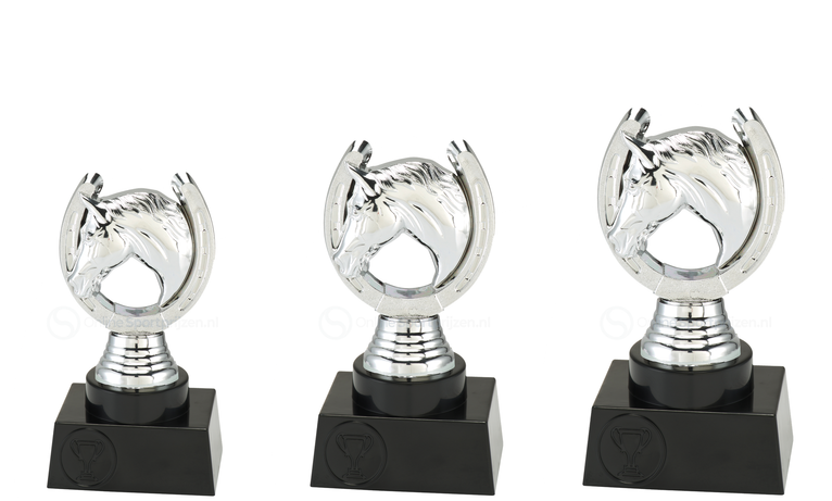 Paardensportprijs - SE2007 - Zilver
