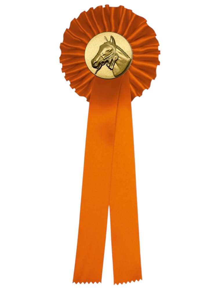 1-Rings Plaatsingsrozet Paardensport - Dierententoonstelling Rozet - R1