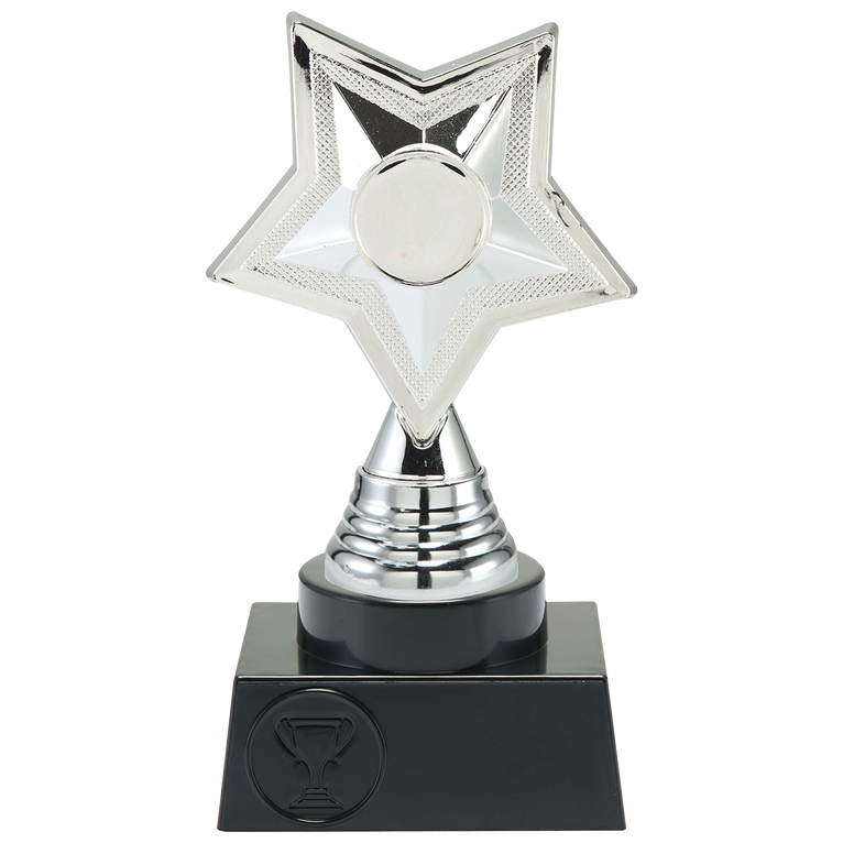 Prijs met ster - ST.216 - Zilver