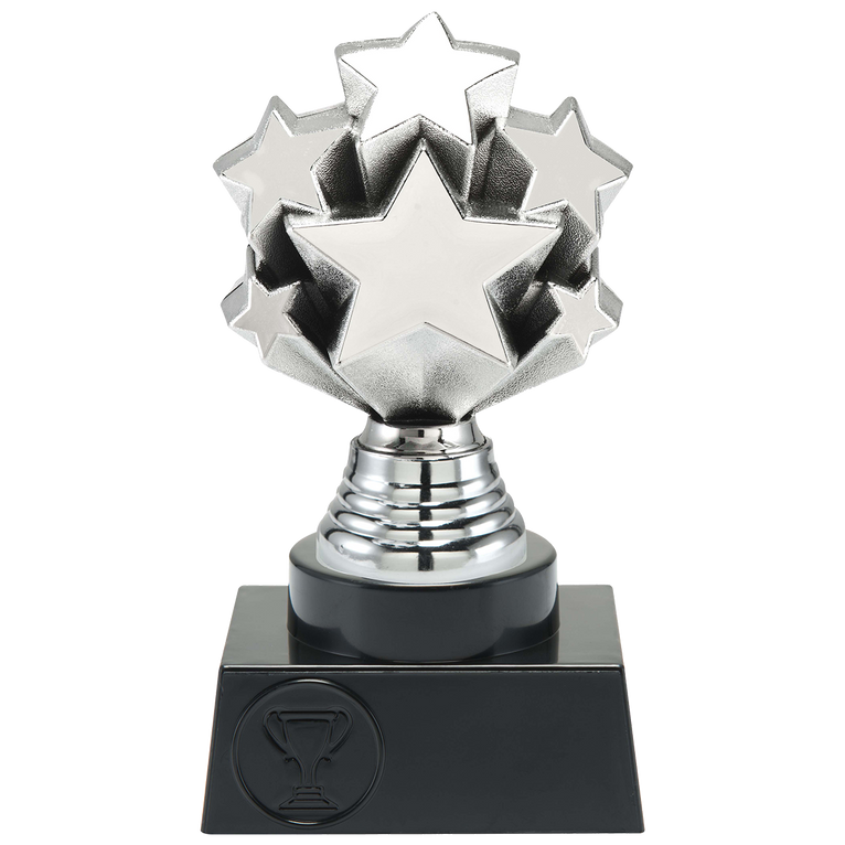 Prijs met sterren - ST.215 - Zilver