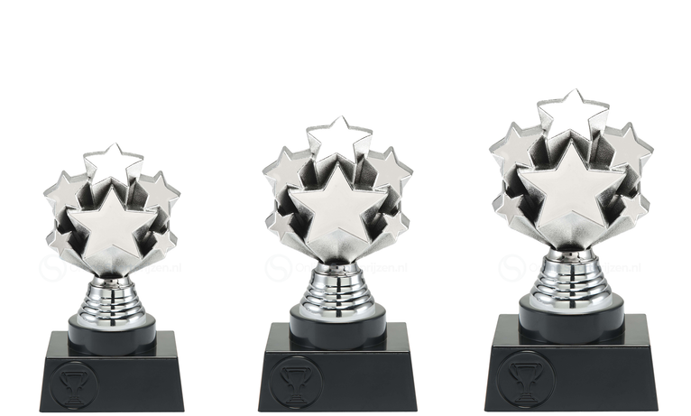 Prijs met sterren - ST.215 - Zilver