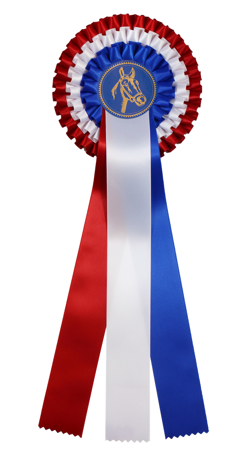 Kampioensrozet Paardensport - Nederland - R750