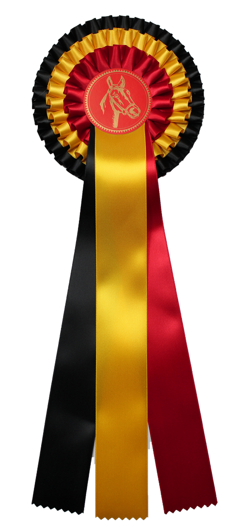Kampioensrozet Paardensport - België - R750