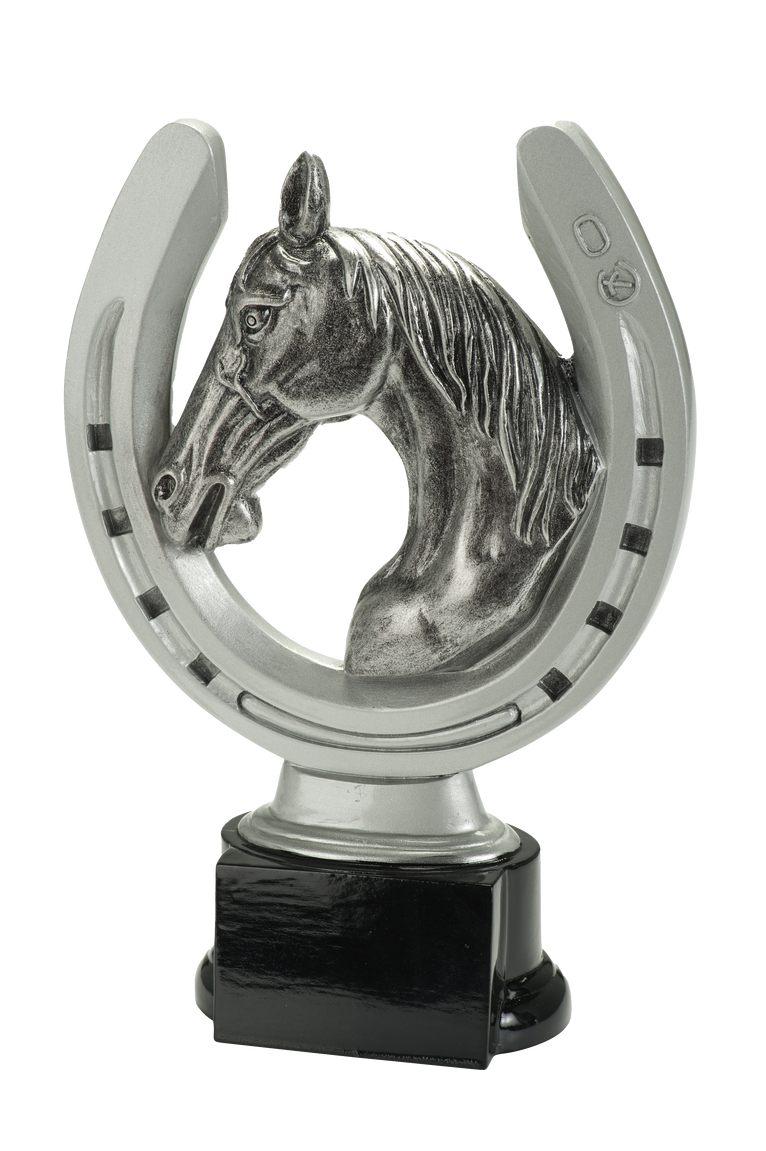 Paardensport Prijs - RE.092 - Antiek Zilver met Kleuraccent