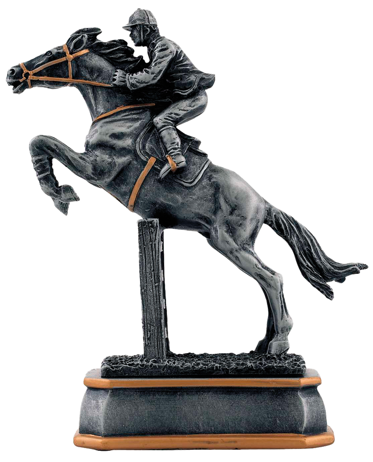 Paardensport Prijs - RE.121 - Antiek Zilver met Kleuraccent