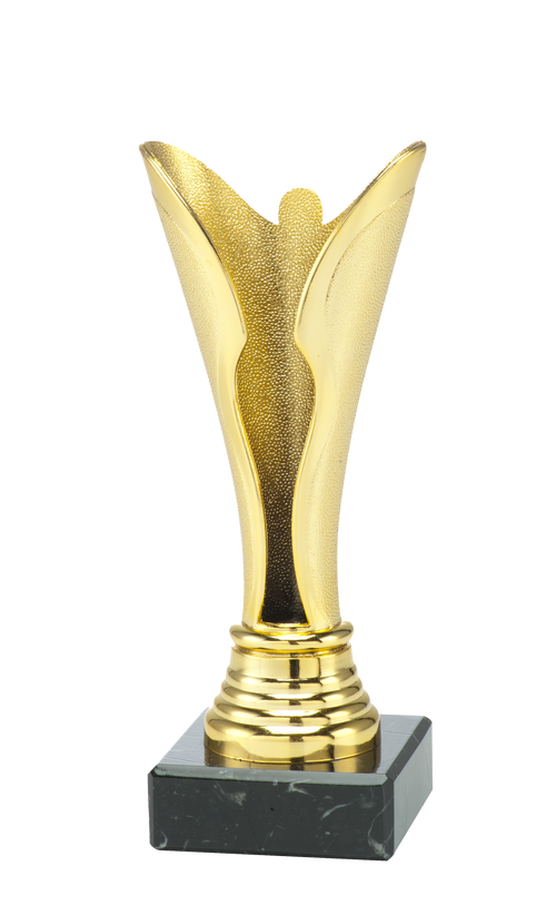 Super Budget Trophy - SET.330 - Goud, Zilver en Brons