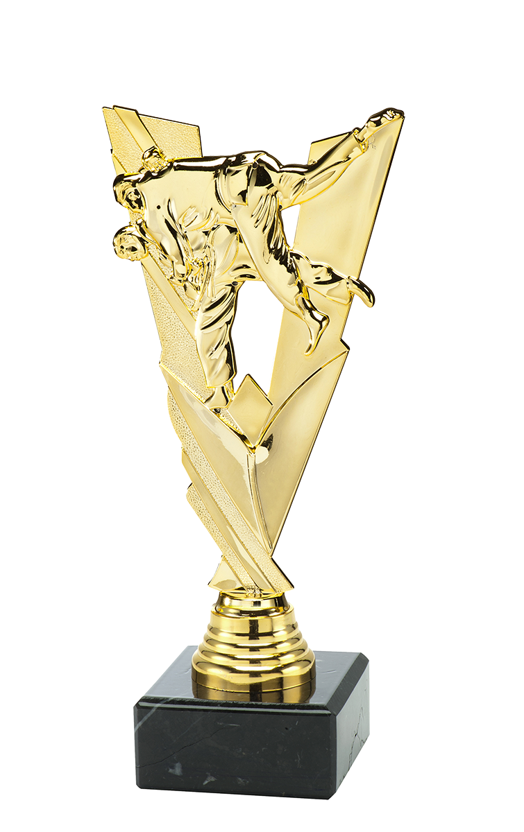 Judo Trofee - ST.185 - Goud