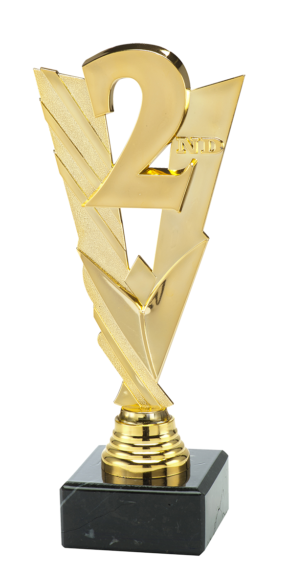Plaatsingtrofee - ST.201-203 - Goud