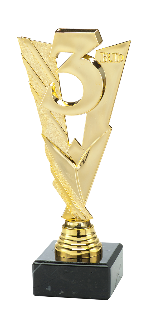 Plaatsingtrofee - ST.201-203 - Goud