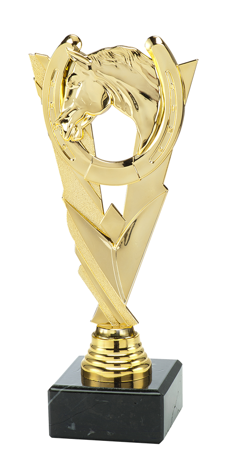 Paardensport Trofee - ST.203 - Goud