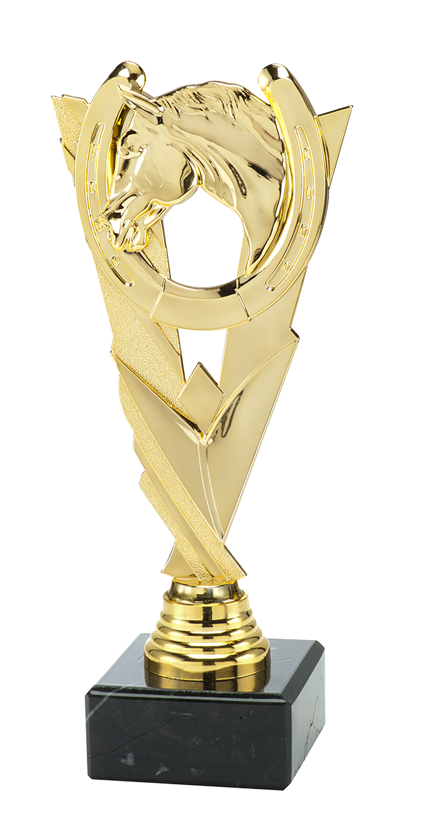 Paardensport Trofee - ST.203 - Goud