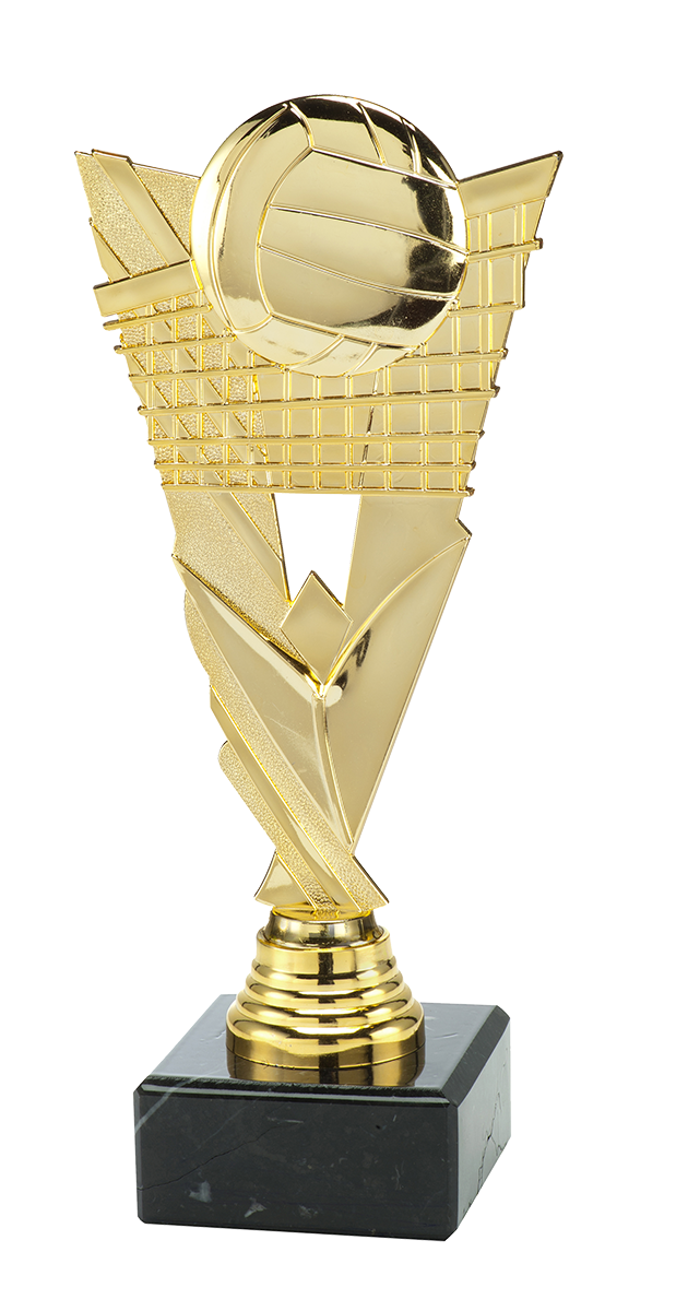 Volleybal Trofee - ST.204 - Goud