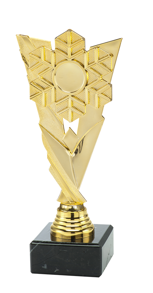 Wintersport Trofee - ST.206 - Goud