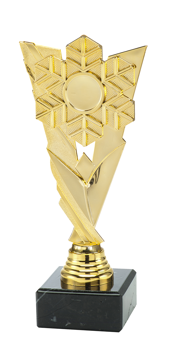 Wintersport Trofee - ST.206 - Goud