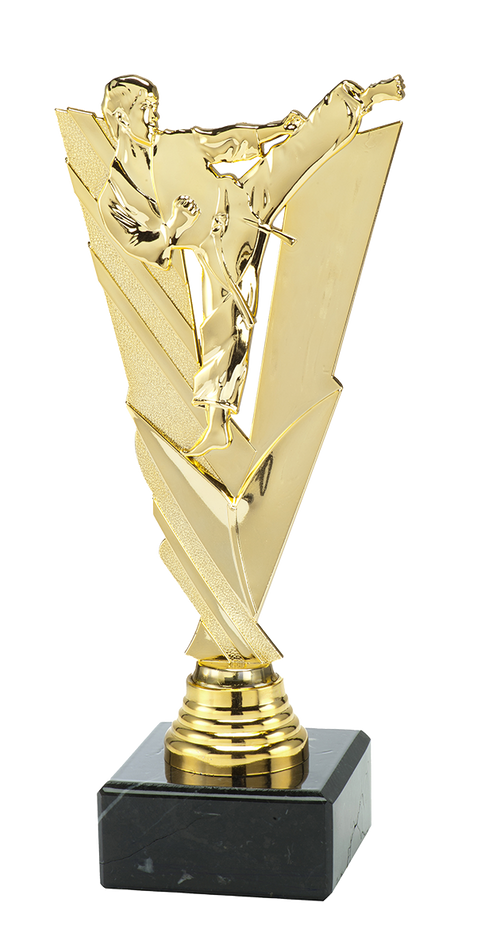 Karate Trofee - ST.208 - Goud