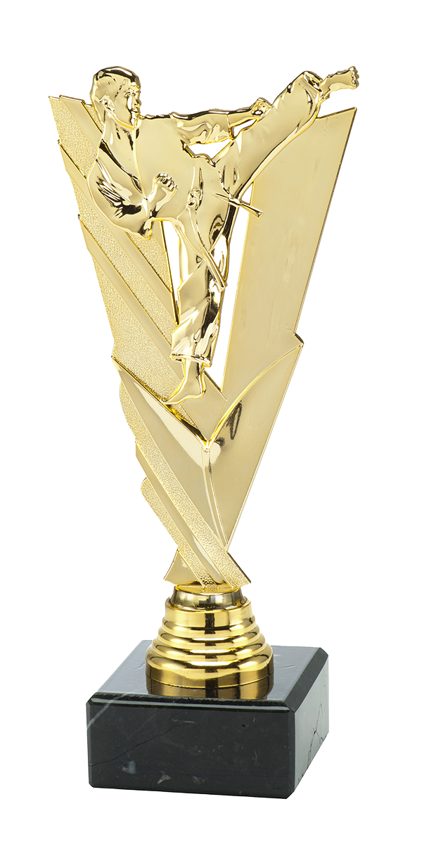 Karate Trofee - ST.208 - Goud