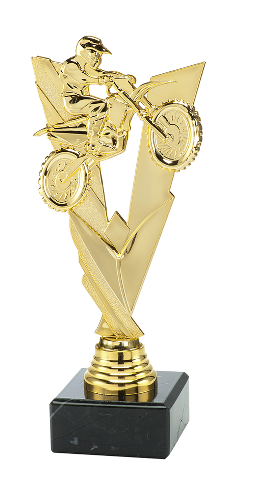 Motorcross Trofee - ST.209 - Goud
