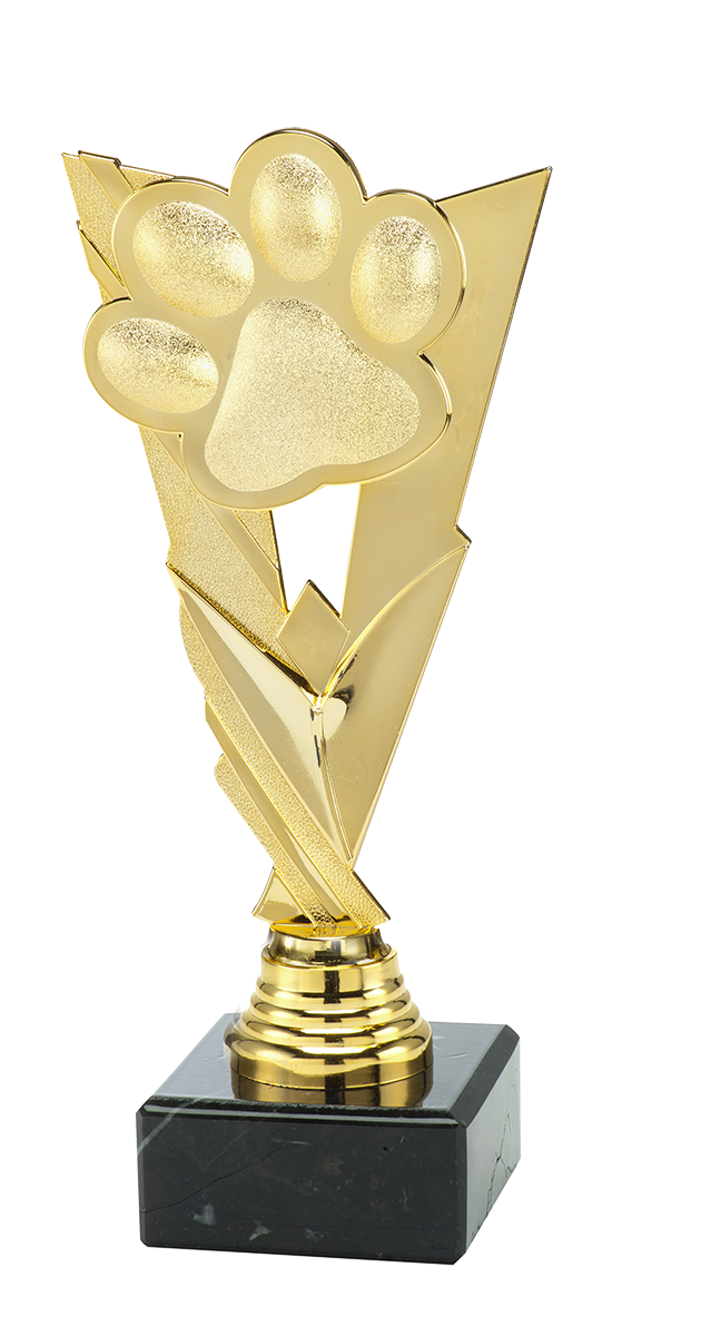 Hondensport Trofee - ST.211 - Goud