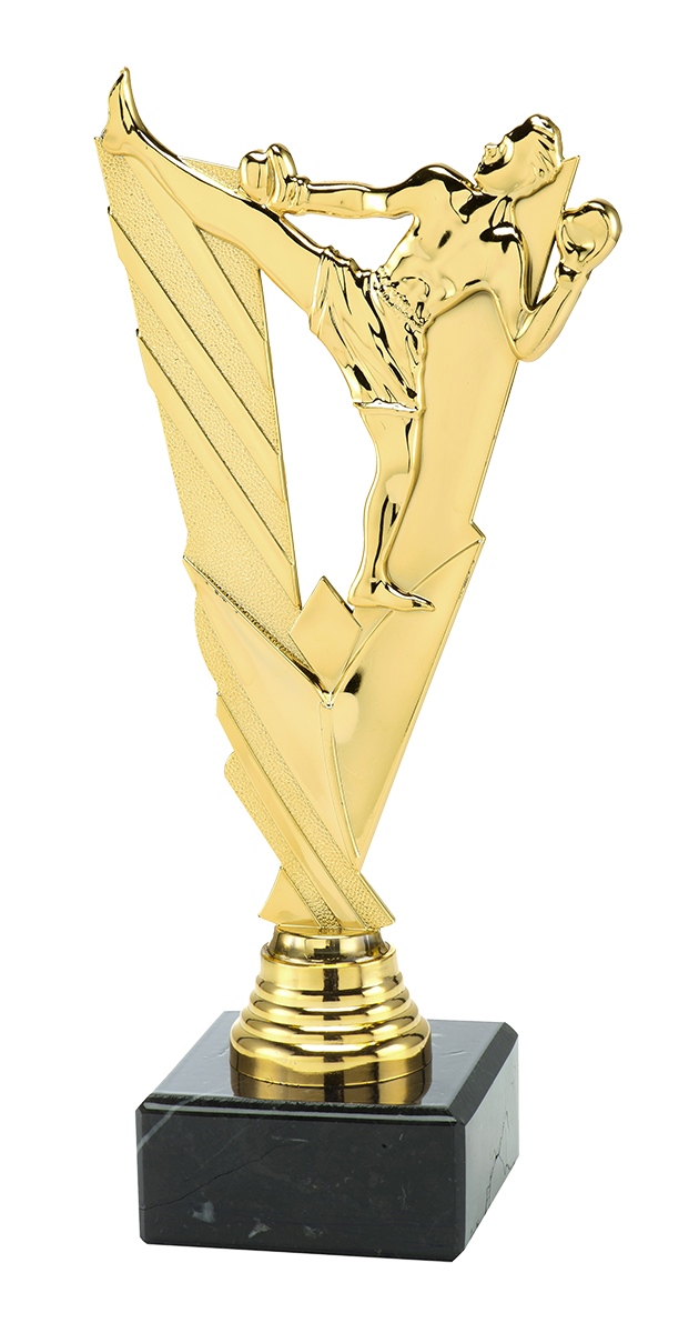 Trofee Boksen - ST.213 - Goud