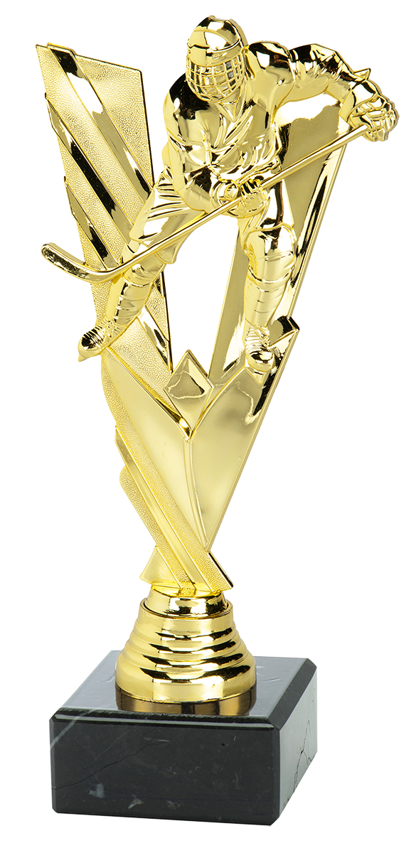 IJshockey Trofee - ST.231 - Goud
