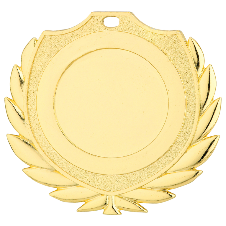 Schildmedaille Zwanenburg - 50 mm - D77A - Goud, Zilver en Brons