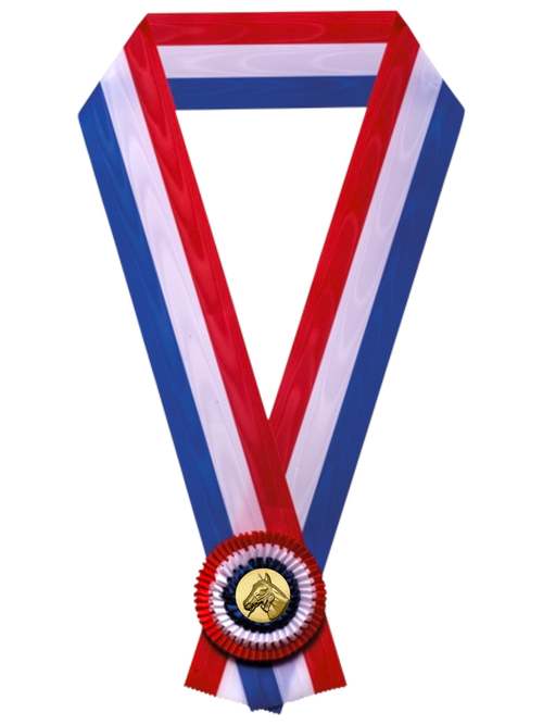 Sjerp Paardensport - Dierententoonstelling Sjerp - NL - Rood-Wit-Blauw