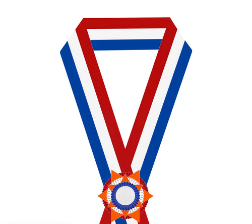 Sjerp Paardensport - Dierententoonstelling Sjerp met 3-Rings Rozet en 2 Sterren - R9