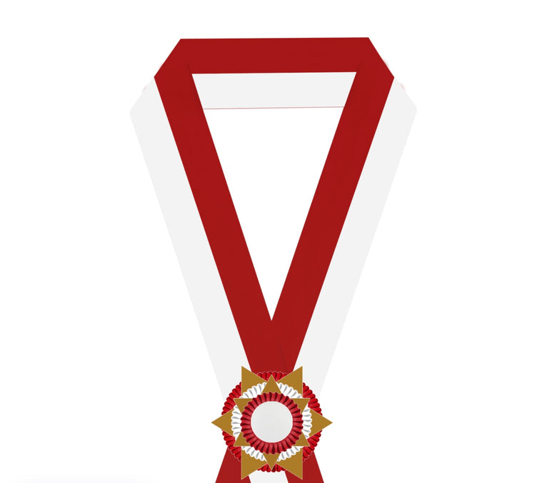 Sjerp Paardensport - Dierententoonstelling Sjerp met 3-Rings Rozet en 2 Sterren - R9