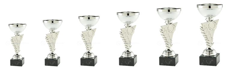 Super Budget Trophy - SET.343C - Zilver