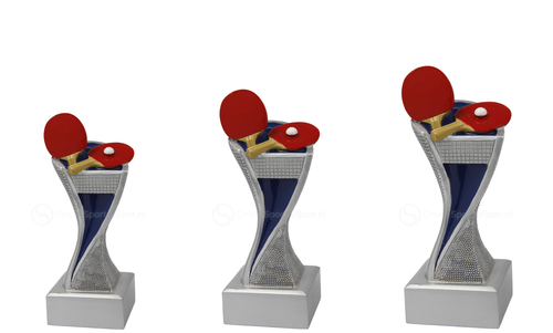 Tafeltennis Prijs - FG4151-FG4153 - Zilver met Kleuraccent