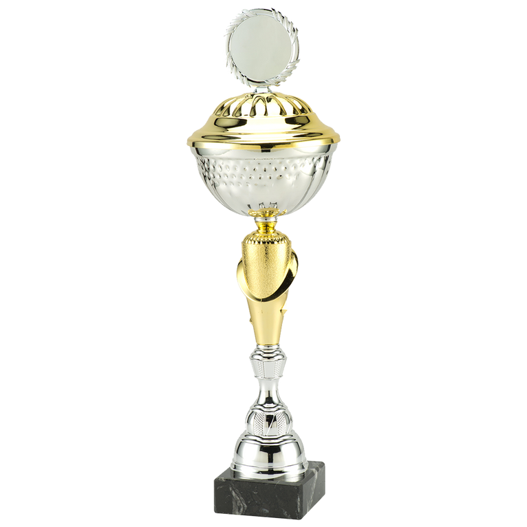 Trofee Aalst - MT.132 - Zilver / Goud