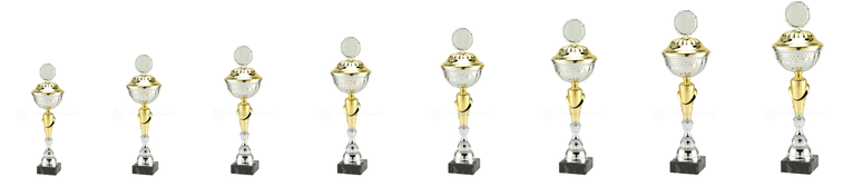 Trofee Aalst - MT.132 - Zilver / Goud