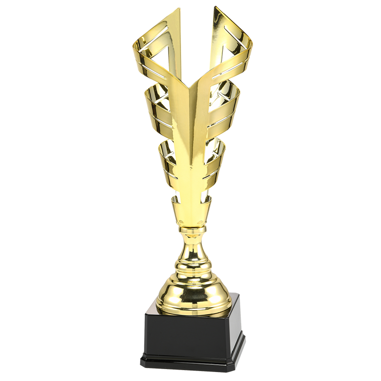 Trofee Amerongen - LT.076 - Goud