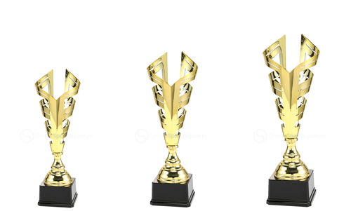 Trofee Amerongen - LT.076 - Goud