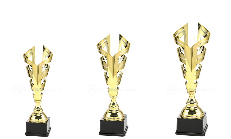Trofee Amerongen - LT.076 - Goud