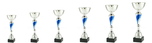 Trofee Barneveld - ET.459.04 - Zilver / Blauw