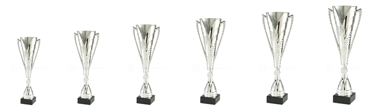 Trofee Bergen op Zoom - ET.449B - Zilver