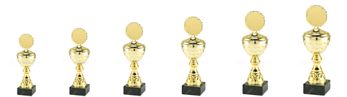 Trofee Beveren - MT.138.01 - Goud
