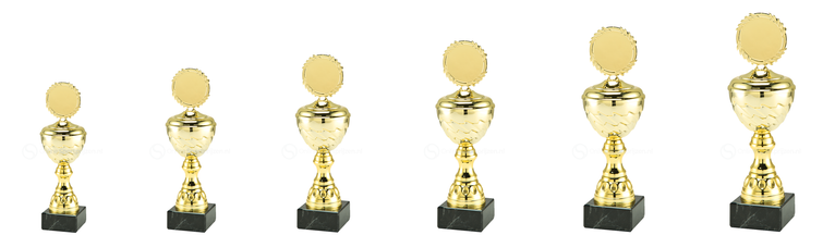Trofee Beveren - MT.138.01 - Goud